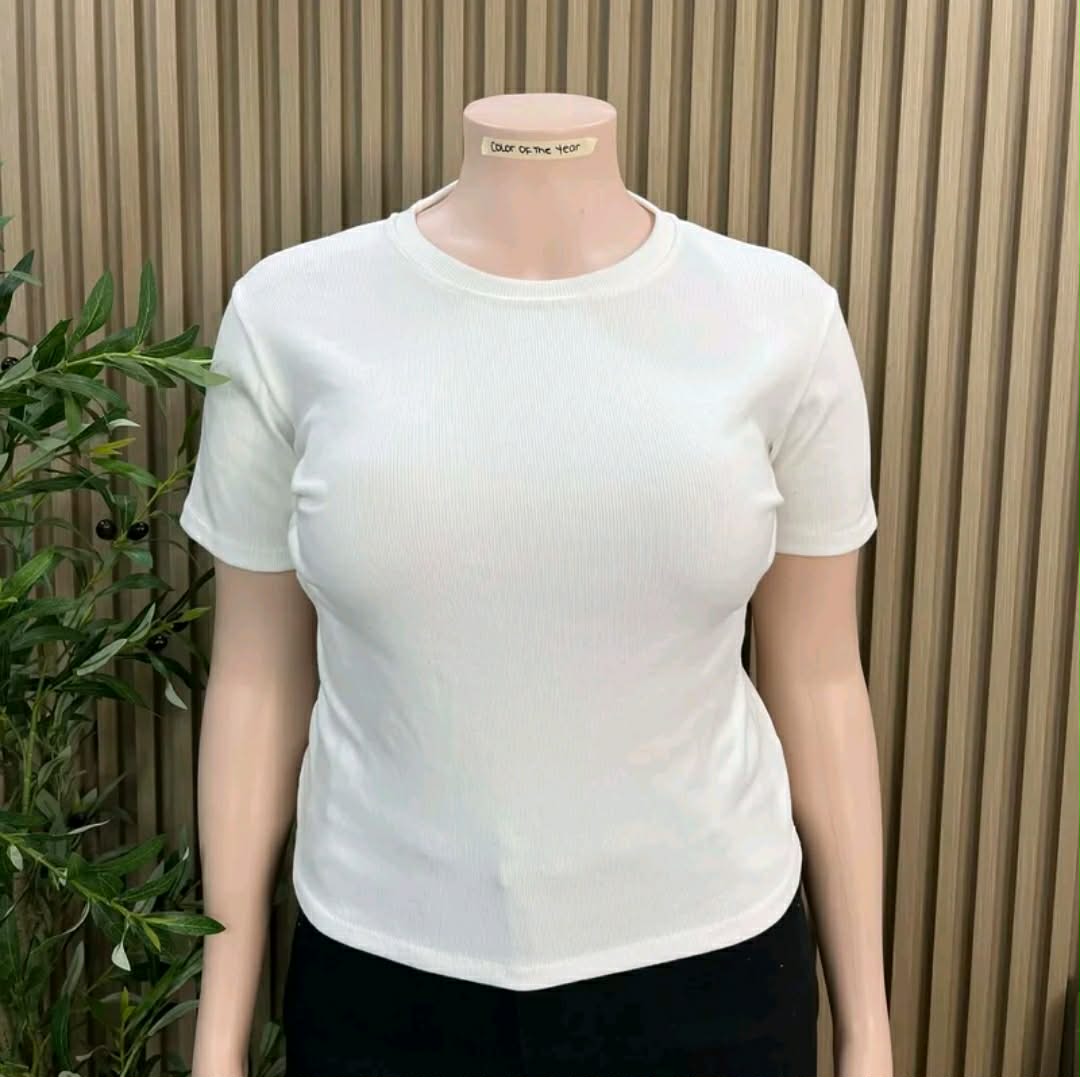 BABI PLUS SIZE ROUND NECK TOP (BUY 2 TAKE 1)
