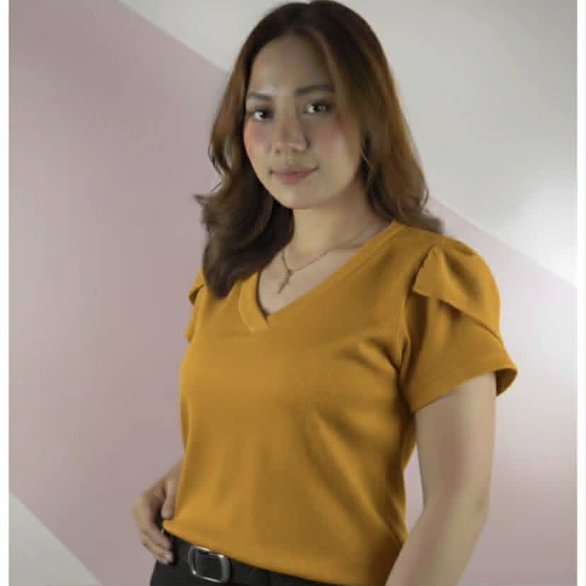 Kara V-neck Puff Sleeve Blouse  (BUY 1 TAKE 1)