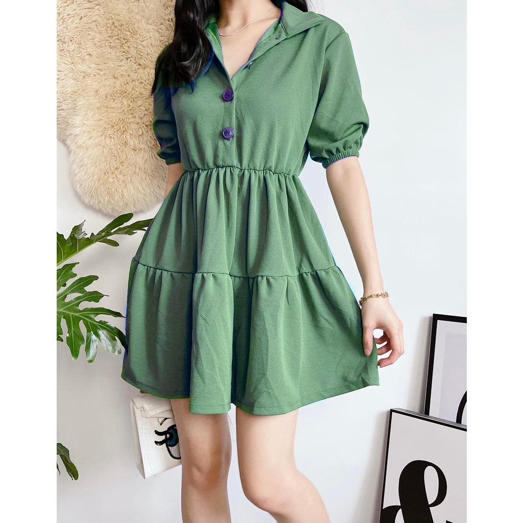 Kanea Button Down Skater Dress [BUY 1 TAKE 1]