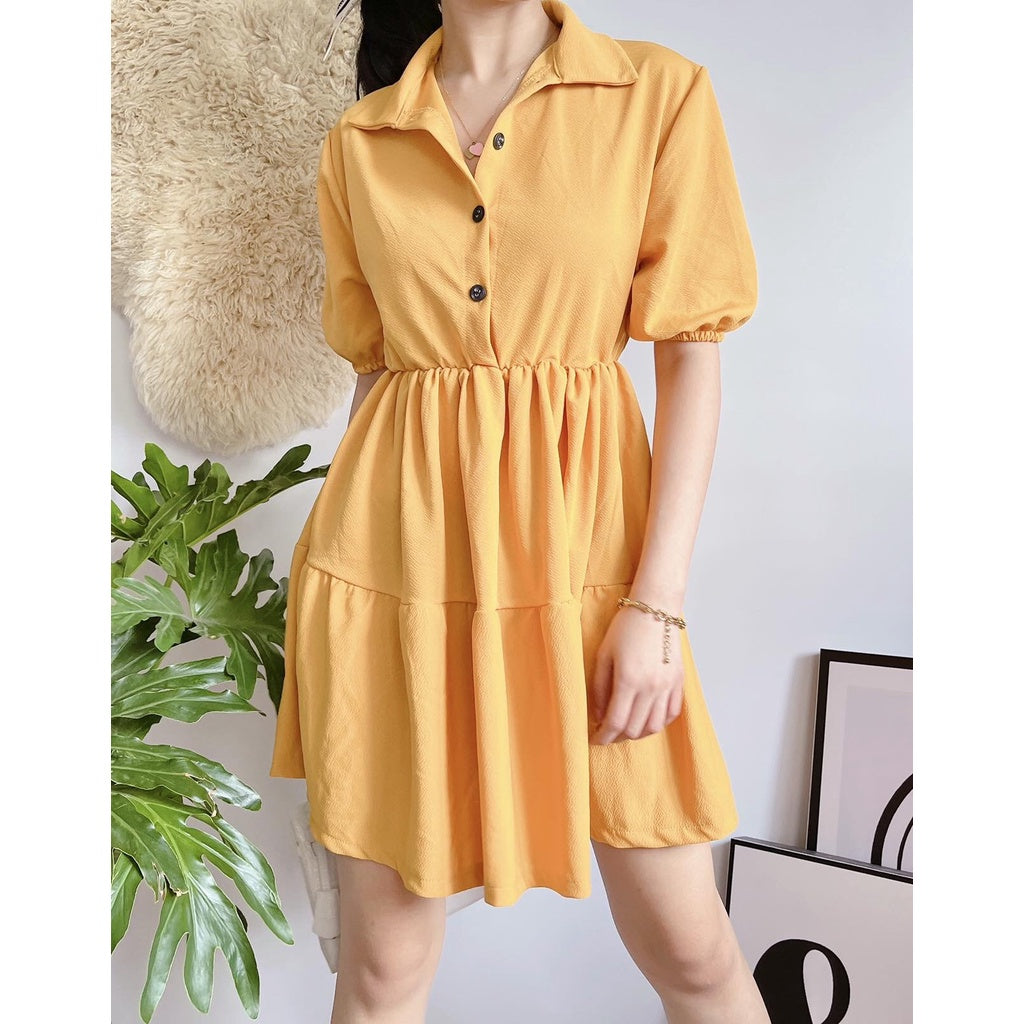 Kanea Button Down Skater Dress [BUY 1 TAKE 1]
