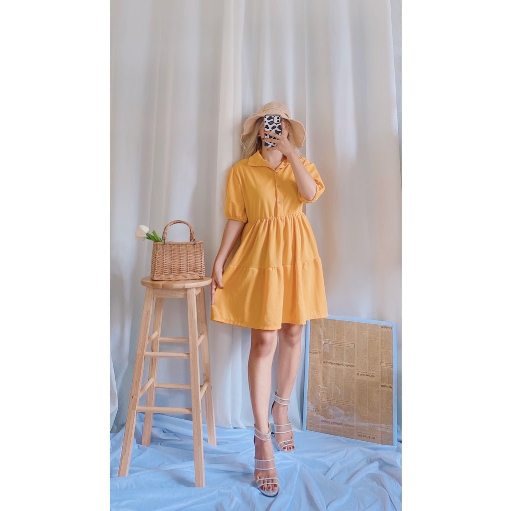 Kanea Button Down Skater Dress [BUY 1 TAKE 1]