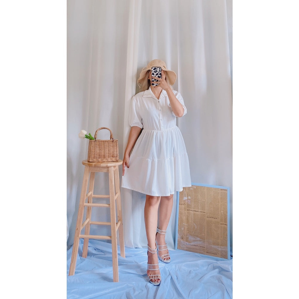 Kanea Button Down Skater Dress [BUY 1 TAKE 1]