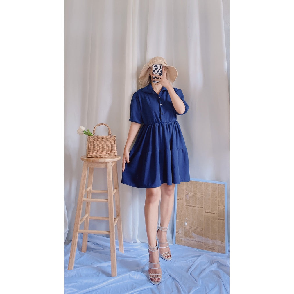 Kanea Button Down Skater Dress [BUY 1 TAKE 1]