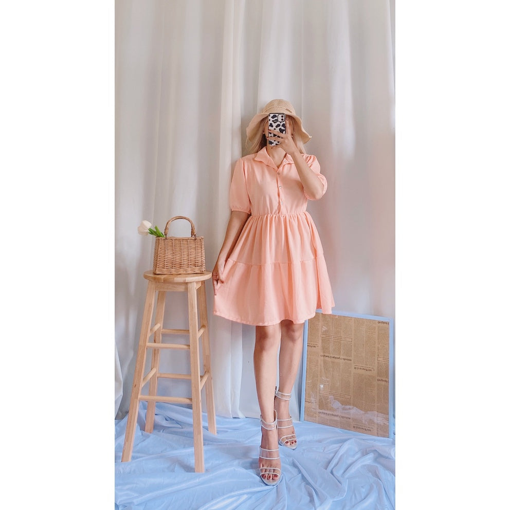 Kanea Button Down Skater Dress [BUY 1 TAKE 1]