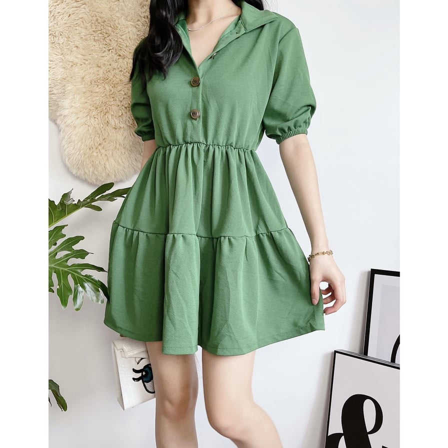 Kanea Button Down Skater Dress [BUY 1 TAKE 1]