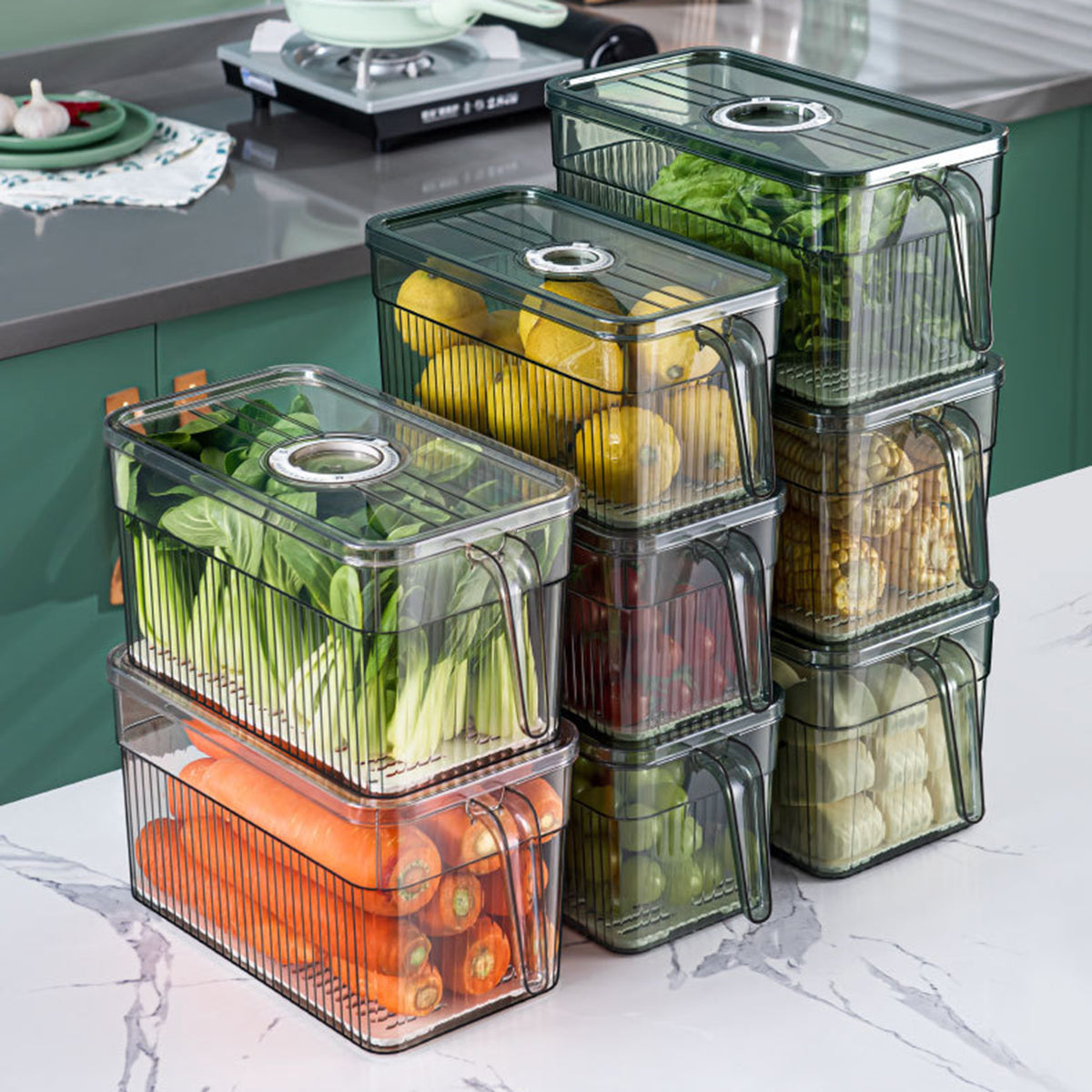 FOOD PRESERVATION BOX BUY 1 TAKE 1 FREE
