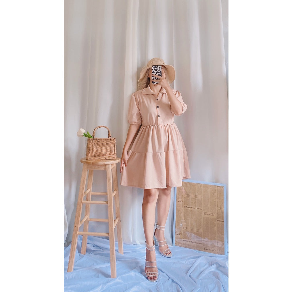 Kanea Button Down Skater Dress [BUY 1 TAKE 1]
